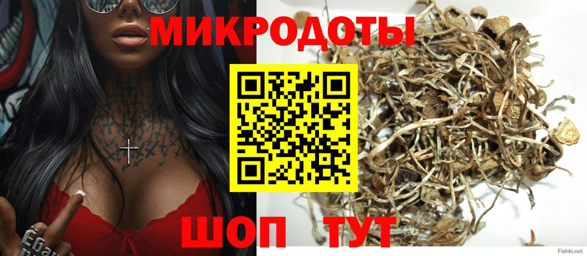Северск  Галлюциногенные грибы Psilocybine cubensis  Вход с VPN 